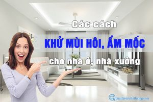 Các cách khử mùi hôi cho nhà ở, nhà xưởng