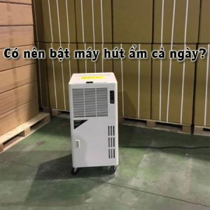 có nên bật máy hút ẩm cả ngày hay không