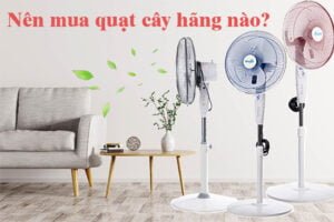 Nên mua quạt cây hãng nào tốt