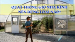 giải pháp thông gió và làm mát nhà kính nên dùng loại nào?