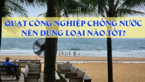 Quạt công nghiệp chống nước treo tường nên dùng loại nào